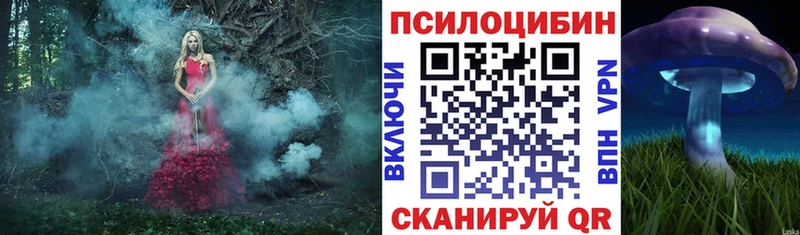 Псилоцибиновые грибы мухоморы  Лермонтов 